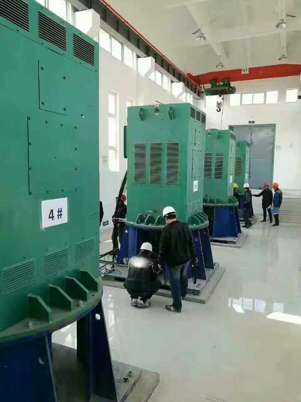 丰县某污水处理厂使用我厂的立式高压电机安装现场