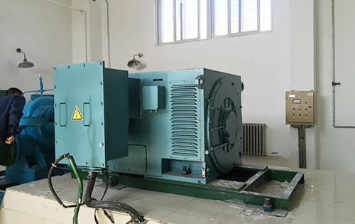 丰县某水电站工程主水泵使用我公司高压电机一年质保